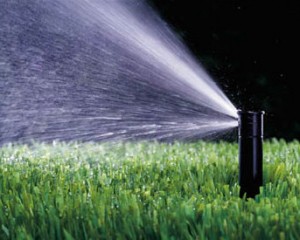 irrigation