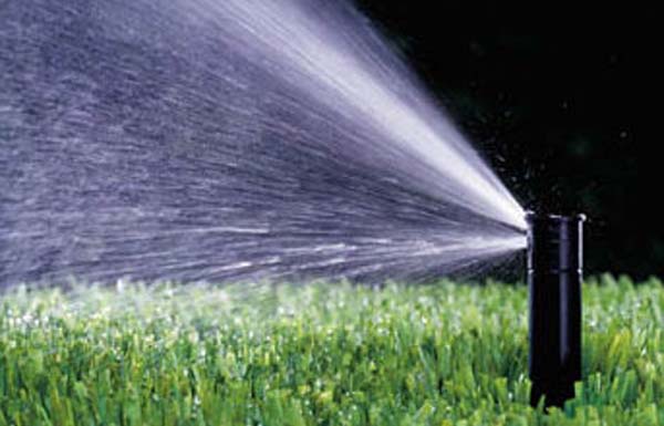 Water Saving Tips