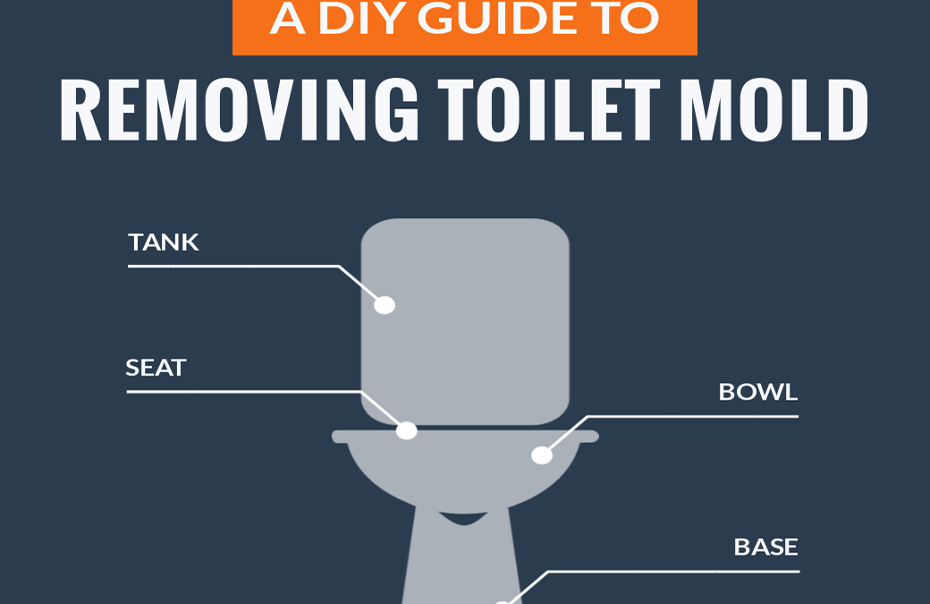 A DIY Guide To Removing Toilet Mold